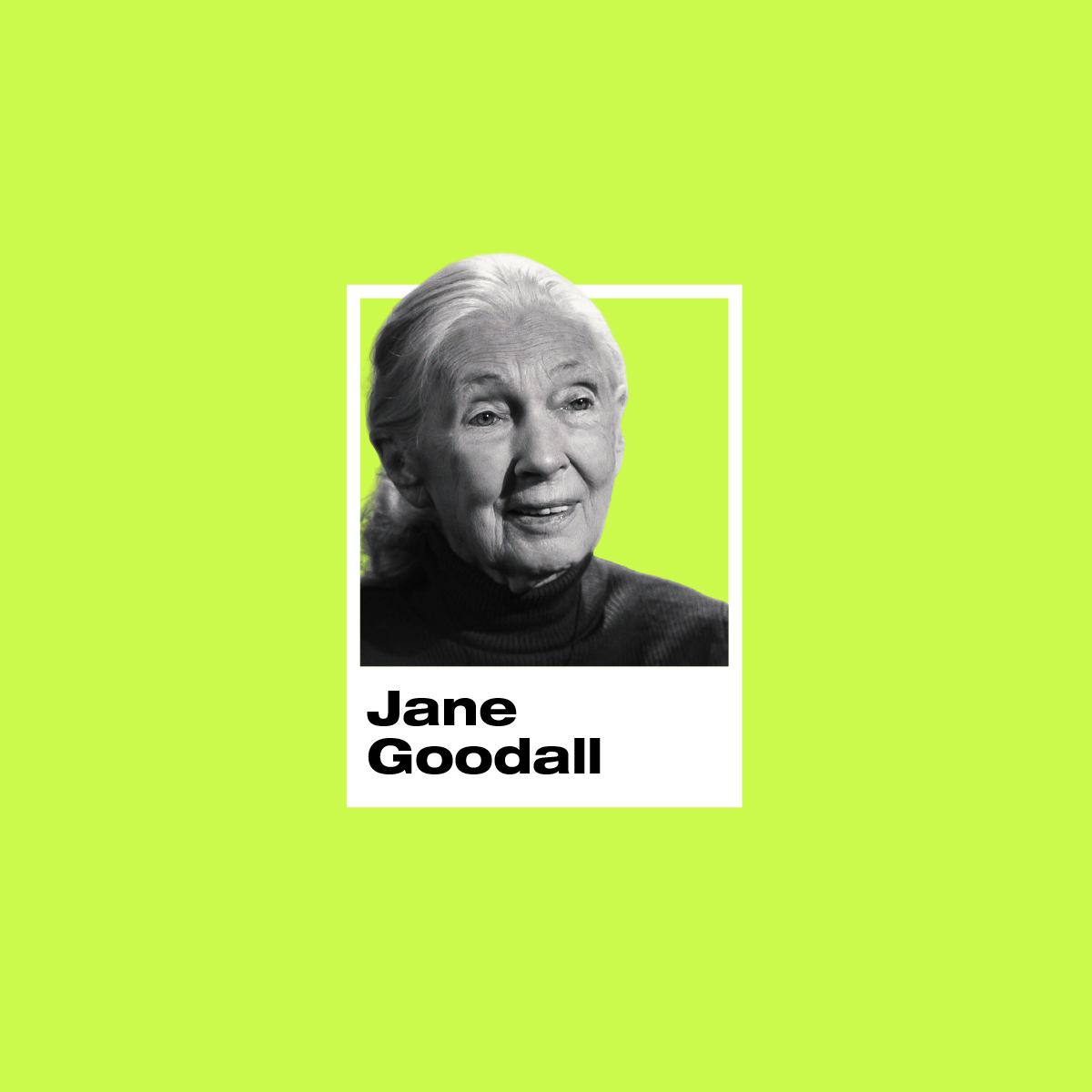 Jane Goodall - La Voz de los Chimpancés